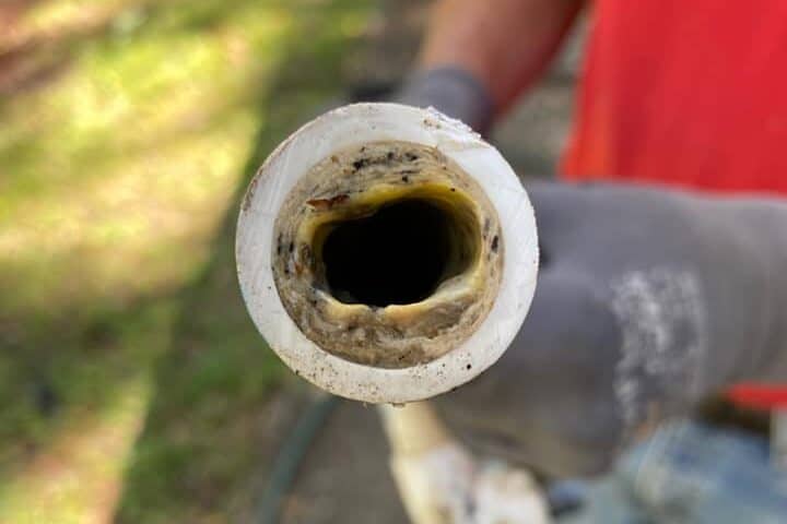 Image of an air conditioning condensation line that is full of algae and bacteria that clogged the line.